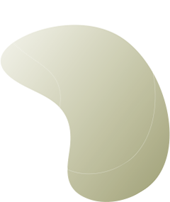 https://birdcomunica.com.br/wp-content/uploads/2020/08/floating_image_08.png