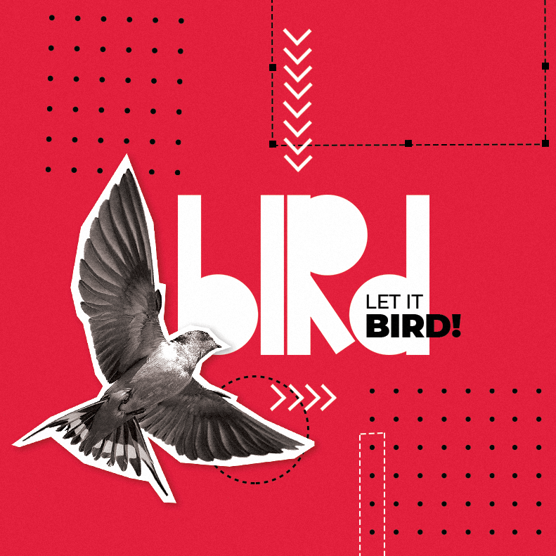 Bird Comunicação se consolida no mercado com atendimento disruptivo e registra crescimento de 250% ao ano